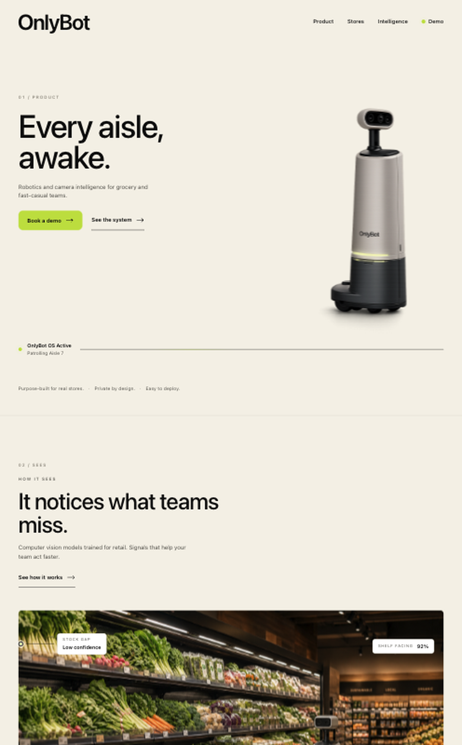 OnlyBot sample website preview