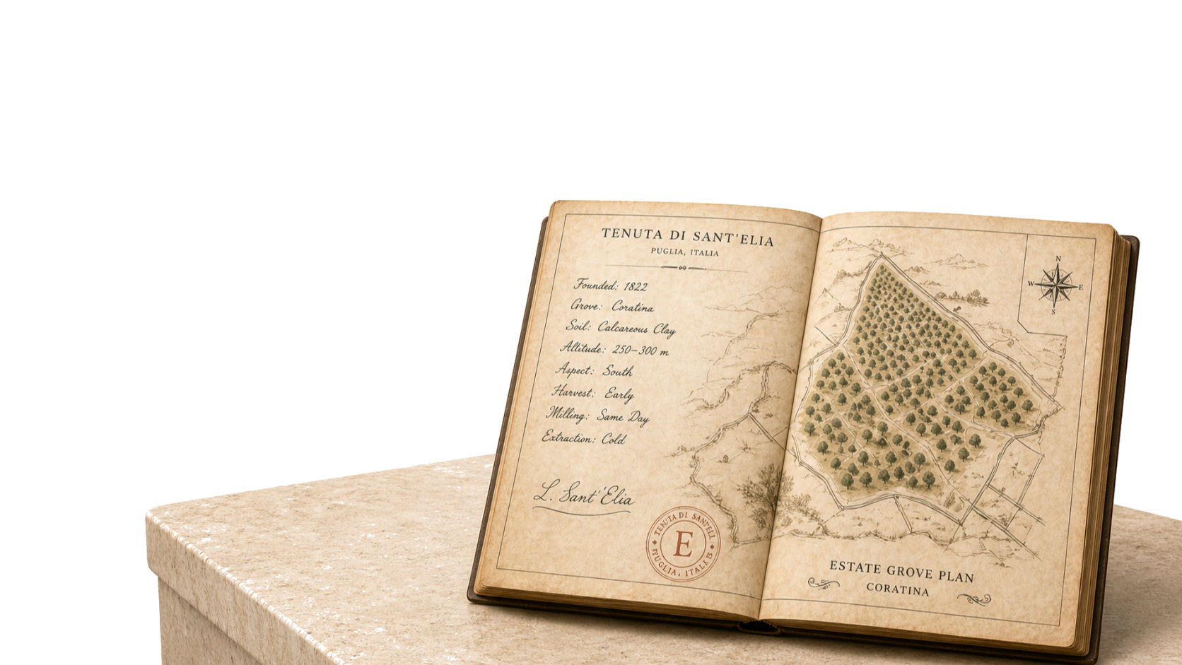 Open estate ledger showing a Puglian olive grove plan